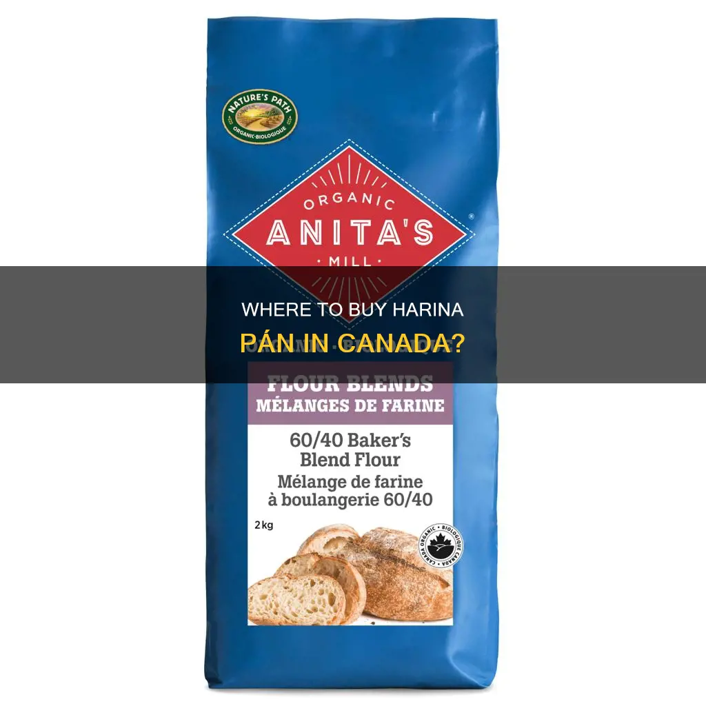 can you buy harina pan in canada