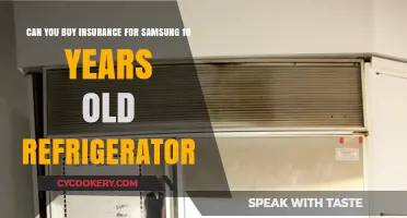 Insuring Your Old Samsung Fridge: Options for 10-Year-Old Refrigerators