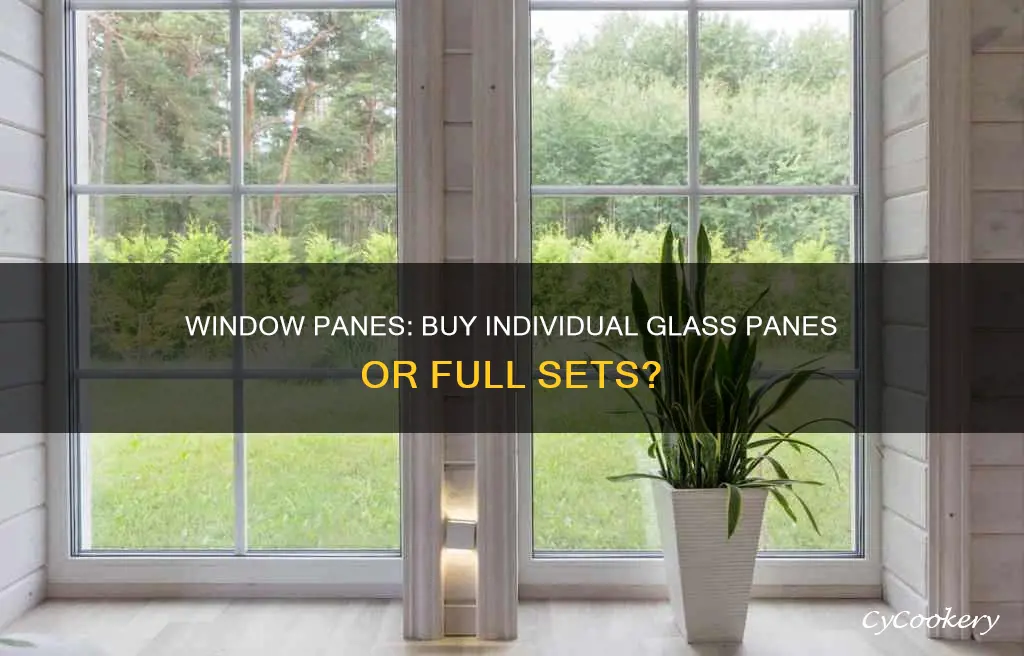 can you buy just window panes