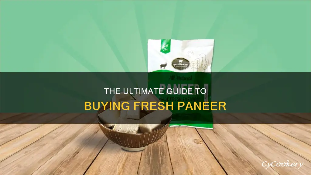 can you buy paneer