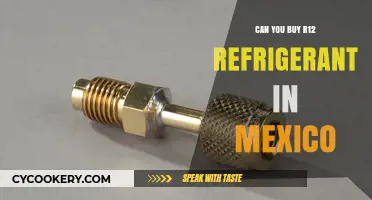 Buying R12 Refrigerant in Mexico: Legal Options and Alternatives Explained