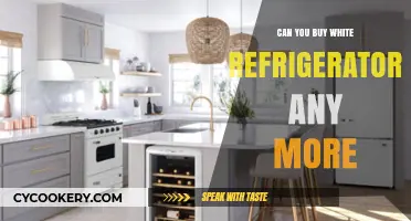 Are White Refrigerators Still Available? Exploring Modern Appliance Trends