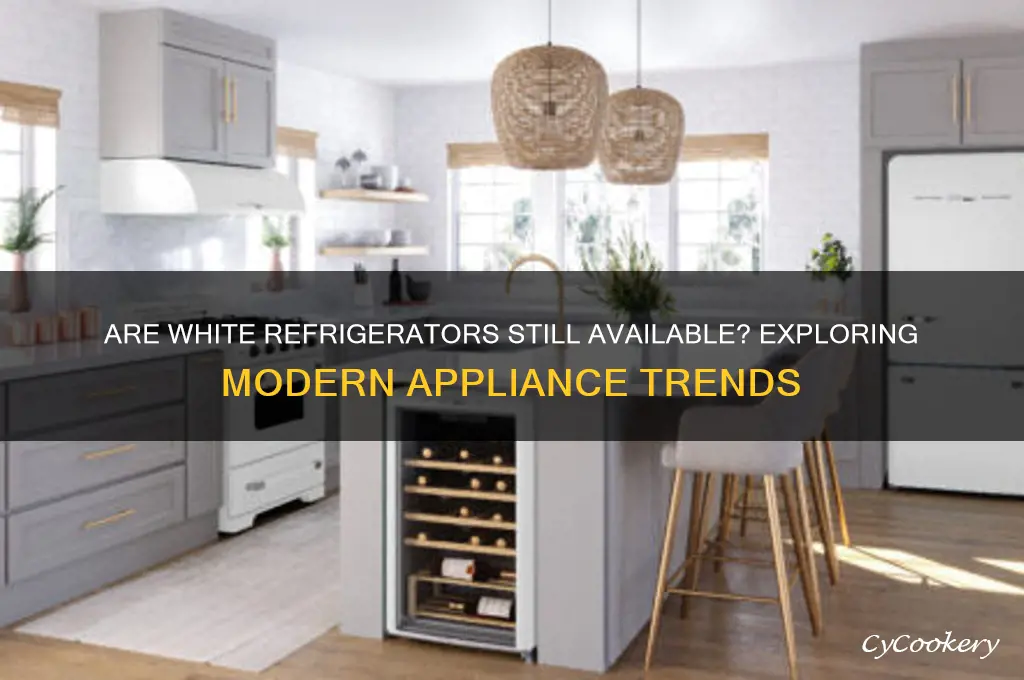 can you buy white refrigerators any more