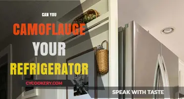 Creative Ways to Camouflage Your Refrigerator in Any Kitchen Design