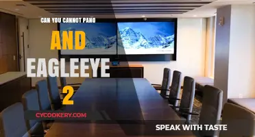 The Ultimate Camera View: Can You Pano or Eagle Eye?