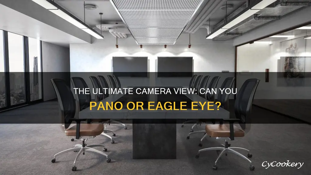 can you cannot pano and eagleeye 2