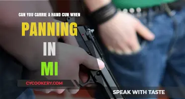 Handgun Carry While Panning in Michigan