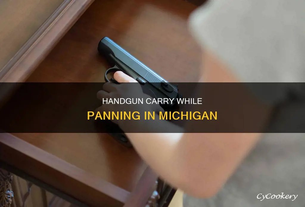 can you carrie a hand cun when panning in mi
