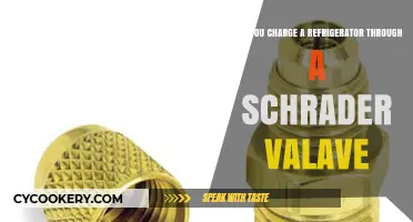 Charging a Refrigerator via Schrader Valve: Myth or Reality?