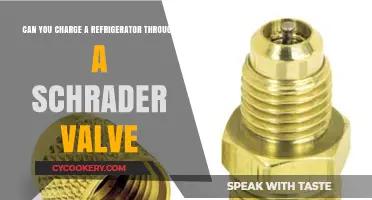 Charging a Refrigerator via Schrader Valve: Myth or Reality?