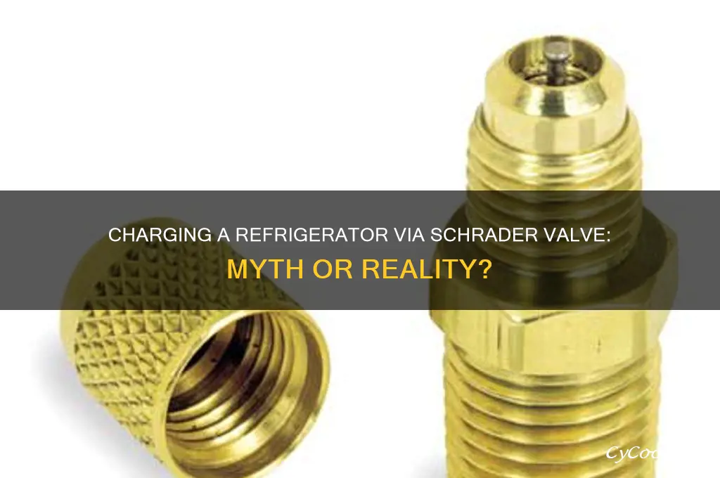 can you charge a refrigerator through a schrader valve