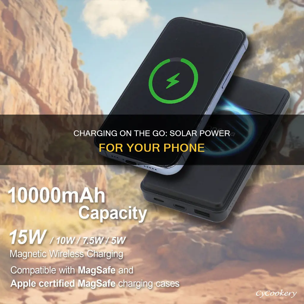 can you charge phone on pane