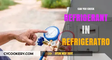How to Safely Check Refrigerant Levels in Your Refrigerator