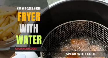 Deep Fryer Cleaning: Water Safe?