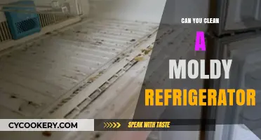 How to Safely Clean and Deodorize a Moldy Refrigerator