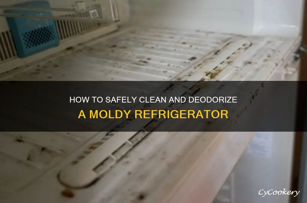 can you clean a moldy refrigerator