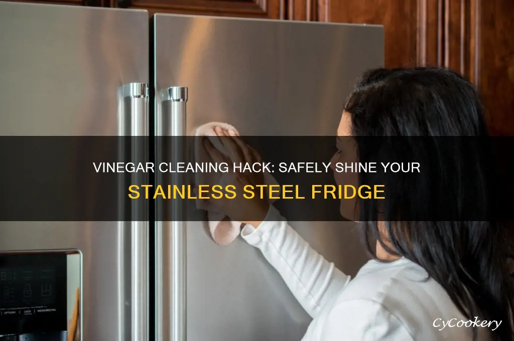 can you clean a stainless steel refrigerator with vinegar