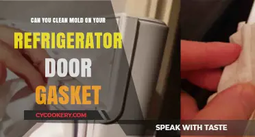 How to Safely Clean Mold from Your Refrigerator Door Gasket