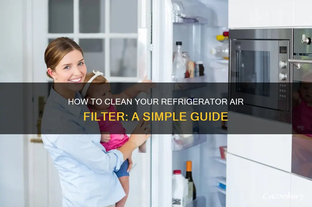 can you clean refrigerator air filter