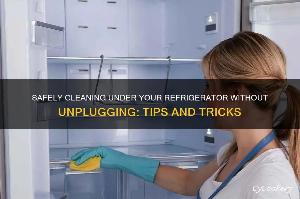can you clean under refrigerator without unplugging