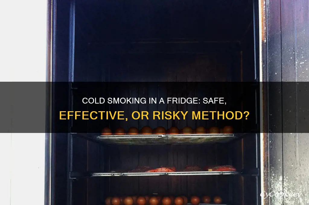 can you cold smoke in a refrigerator