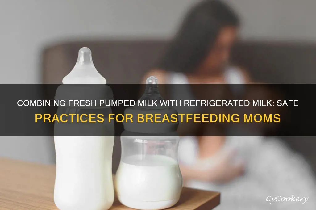 can you combine fresh pumped milk with refrigerated milk