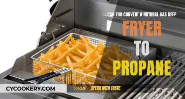 Converting Natural Gas Deep Fryers to Propane: Is It Possible?