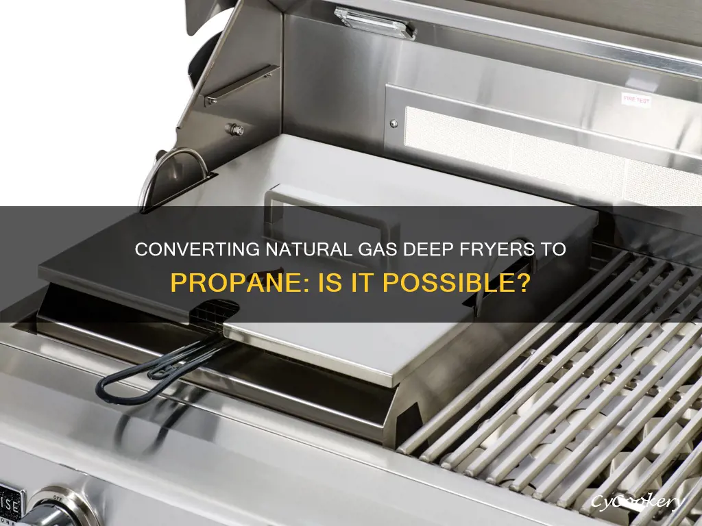 can you convert a natural gas deep fryer to propane