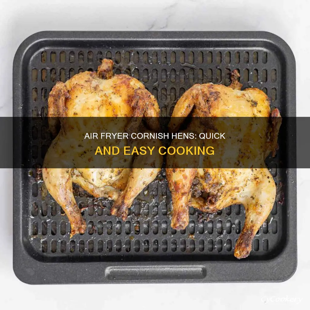 can you cook 2 cornish hens in air fryer