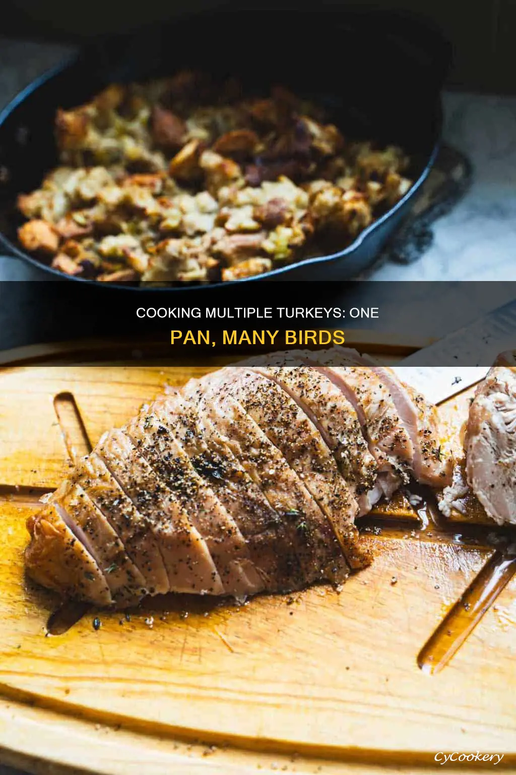 can you cook 2 turkeys in same pan