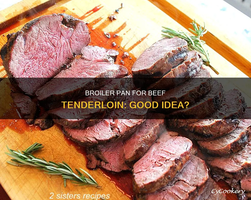 can you cook a beef tenderloin on a broiler pan