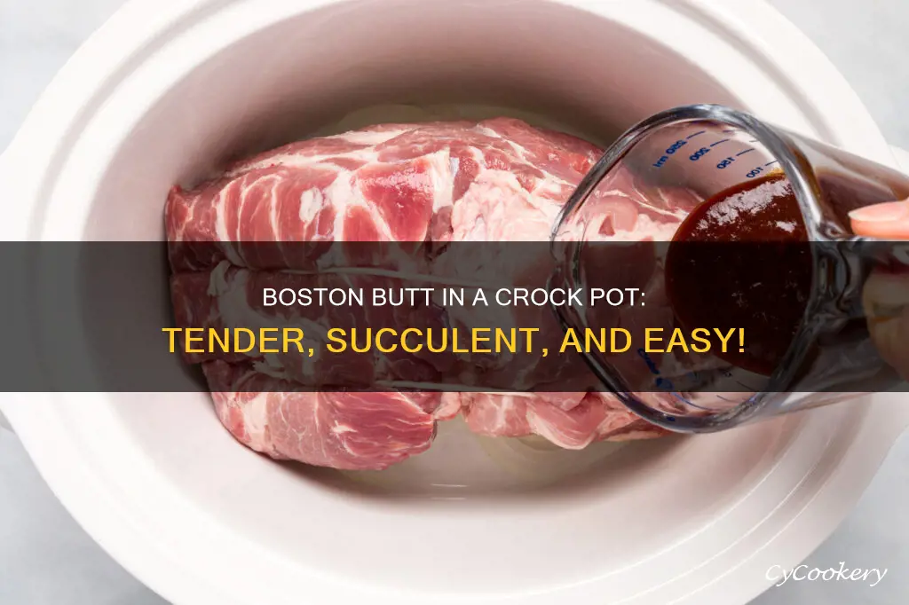 can you cook a boston but ina crock pot