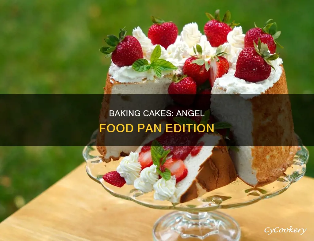 can you cook a cake in a angel food pan
