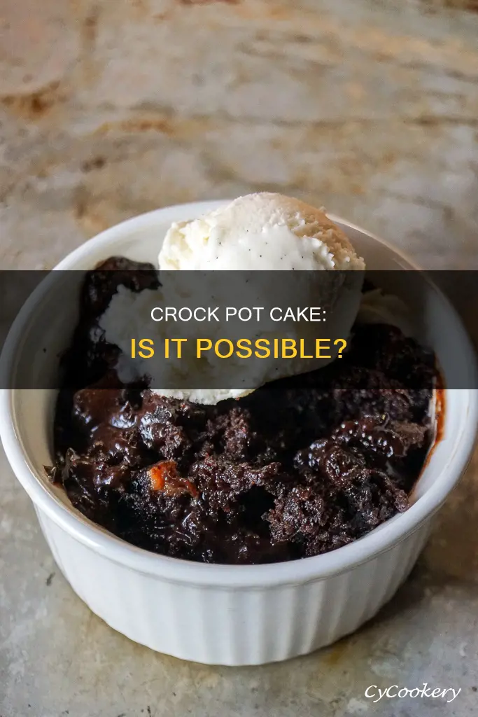 can you cook a cake in a crock pot