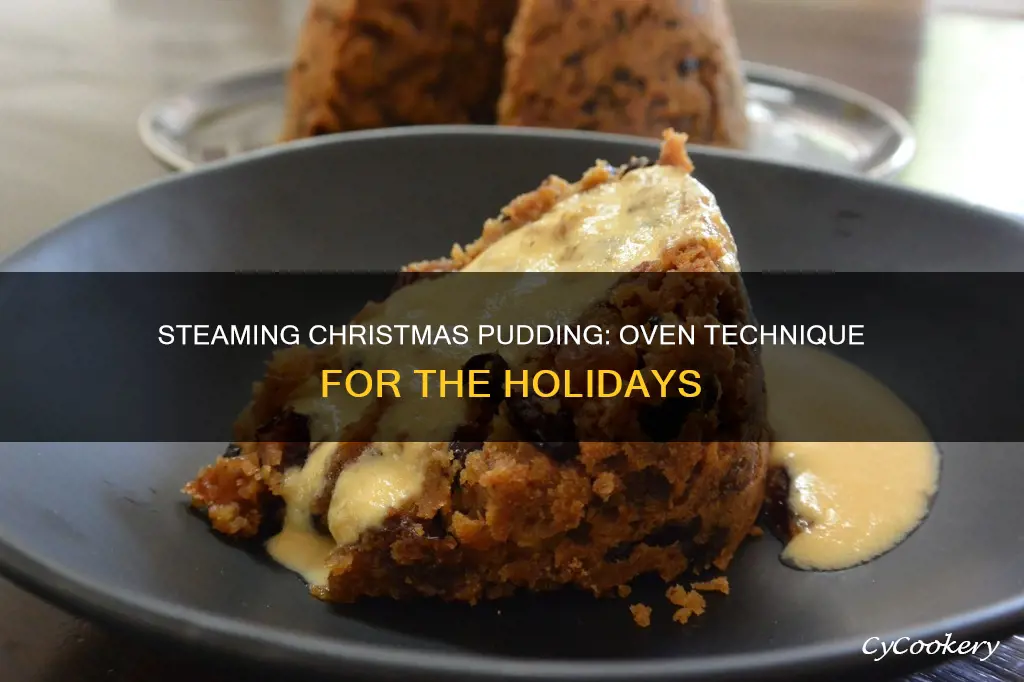 can you cook a christmas pudding in a steam oven