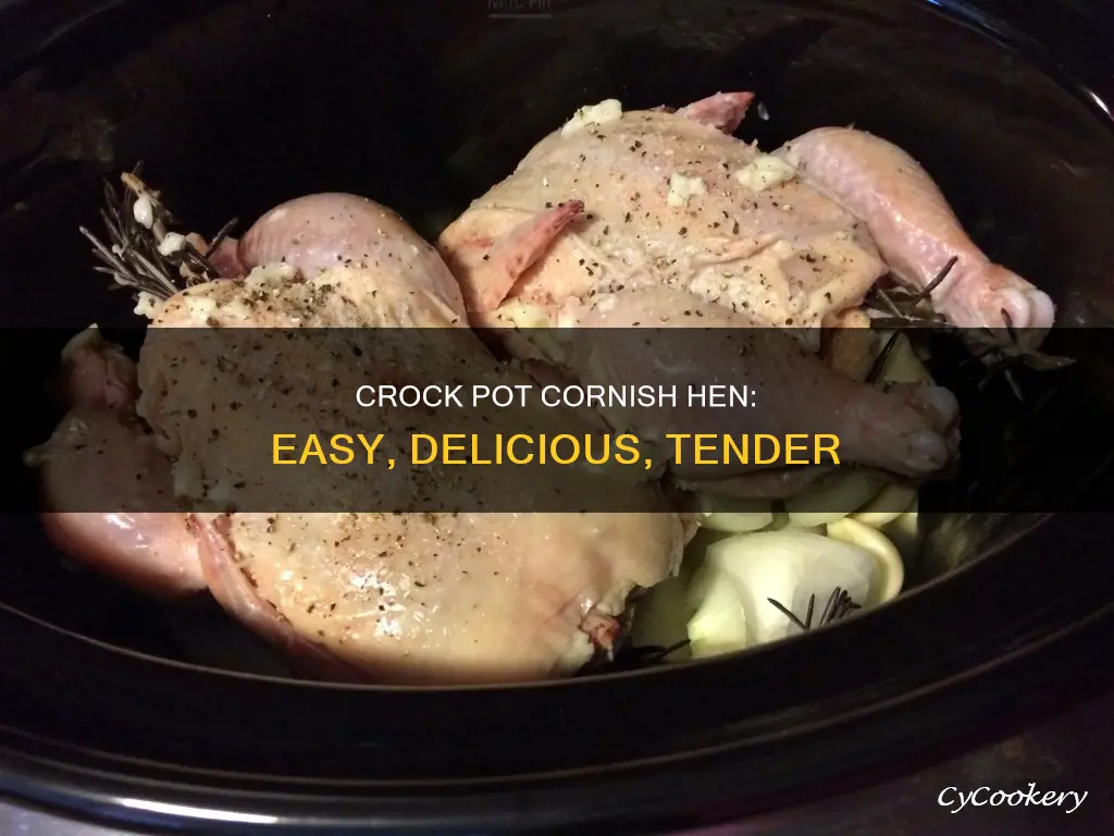 can you cook a cornish hen in a crock pot
