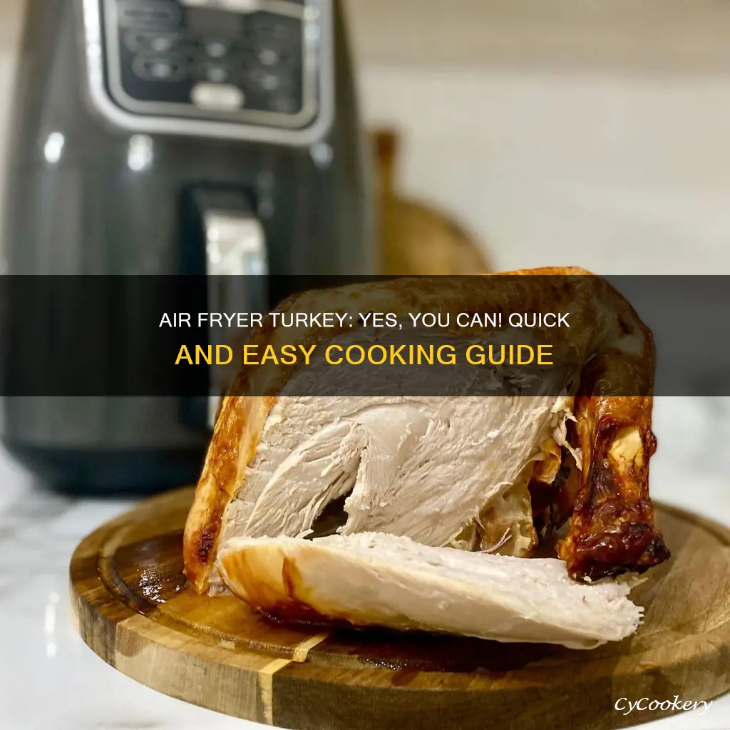 can you cook a frozen turkey in an air fryer