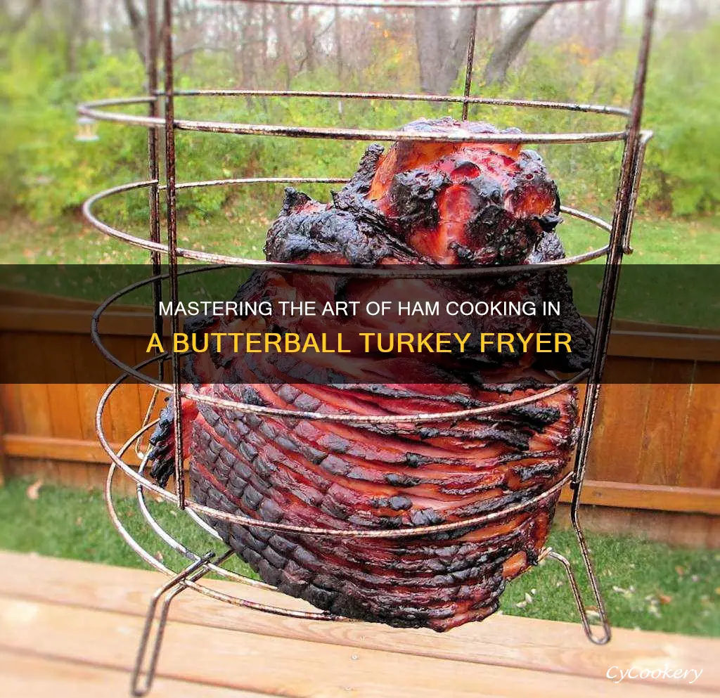 can you cook a ham in a butterball turkey fryer