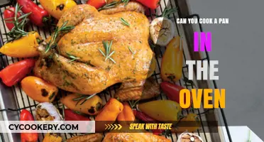 Oven Cooking with Pans: What You Should Know