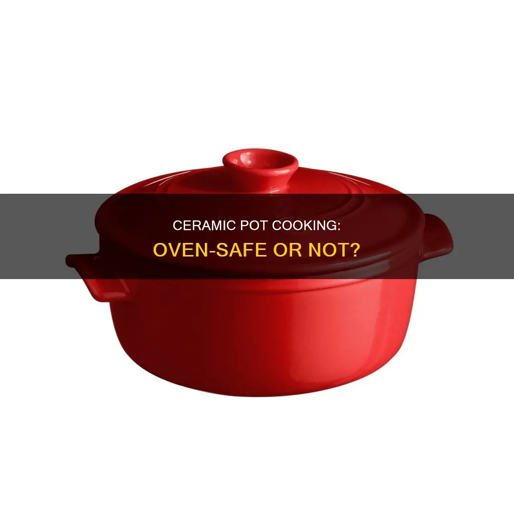can you cook a raw ceramic pot in your oven