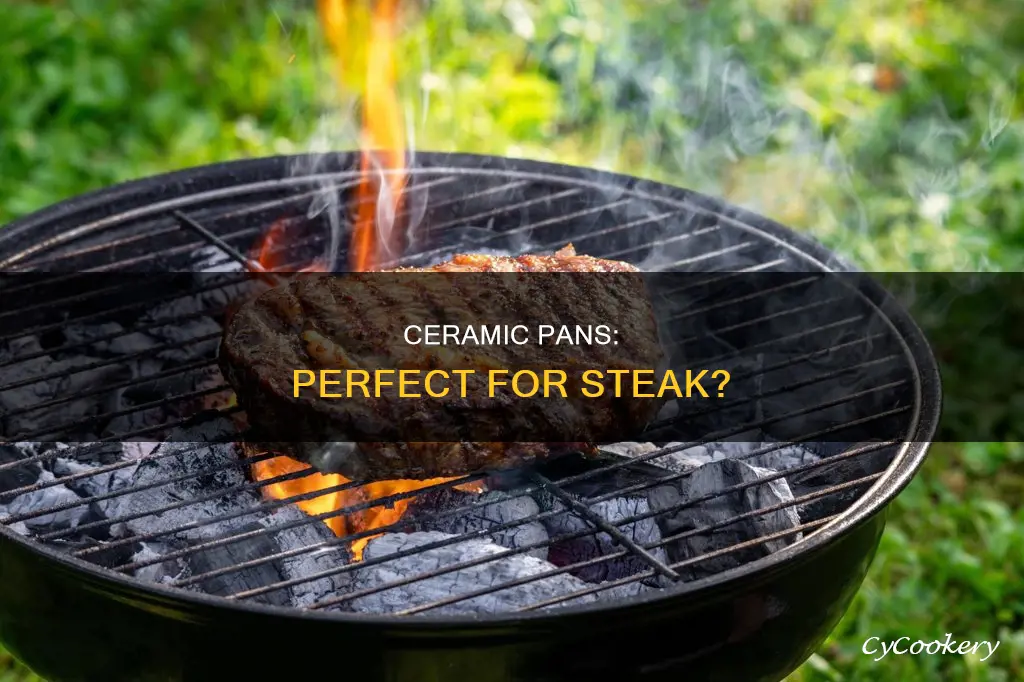 can you cook a steak in a ceramic pan
