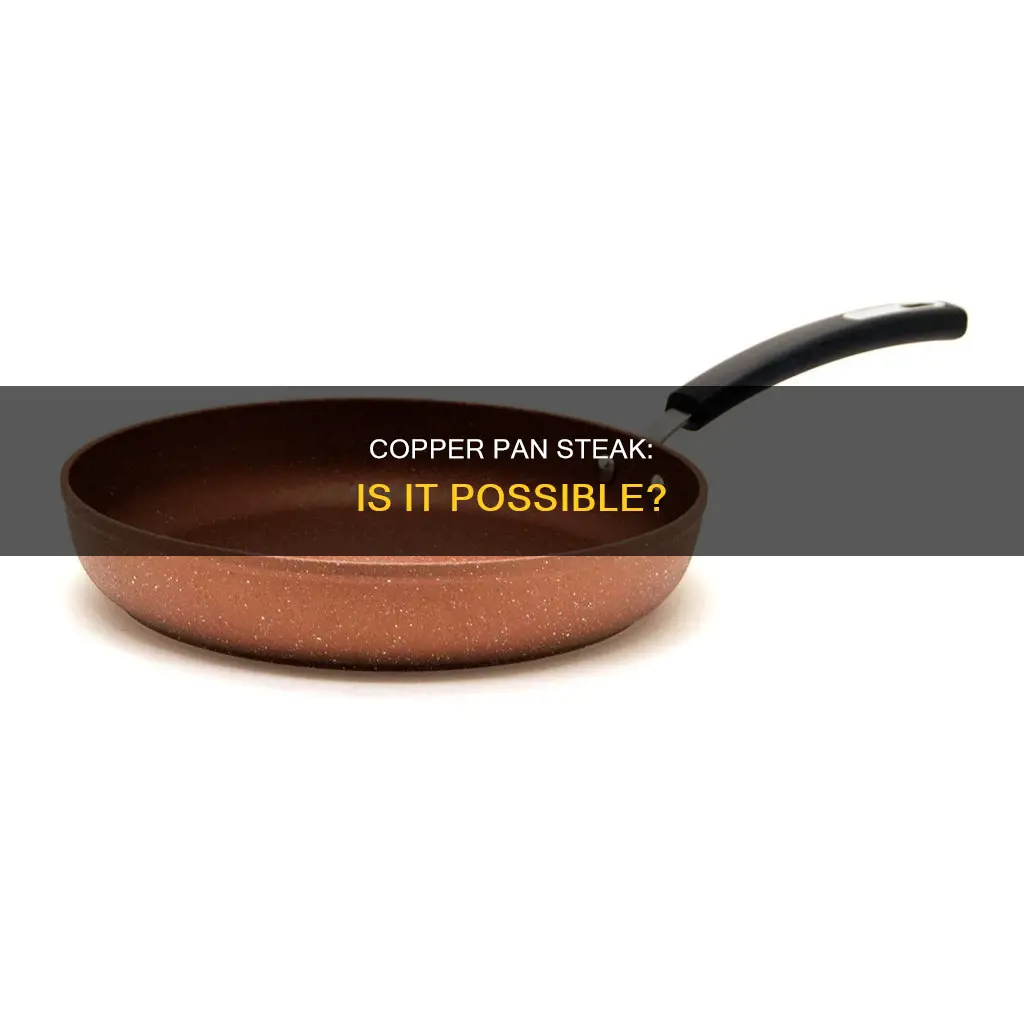 can you cook a steak in a copper pan