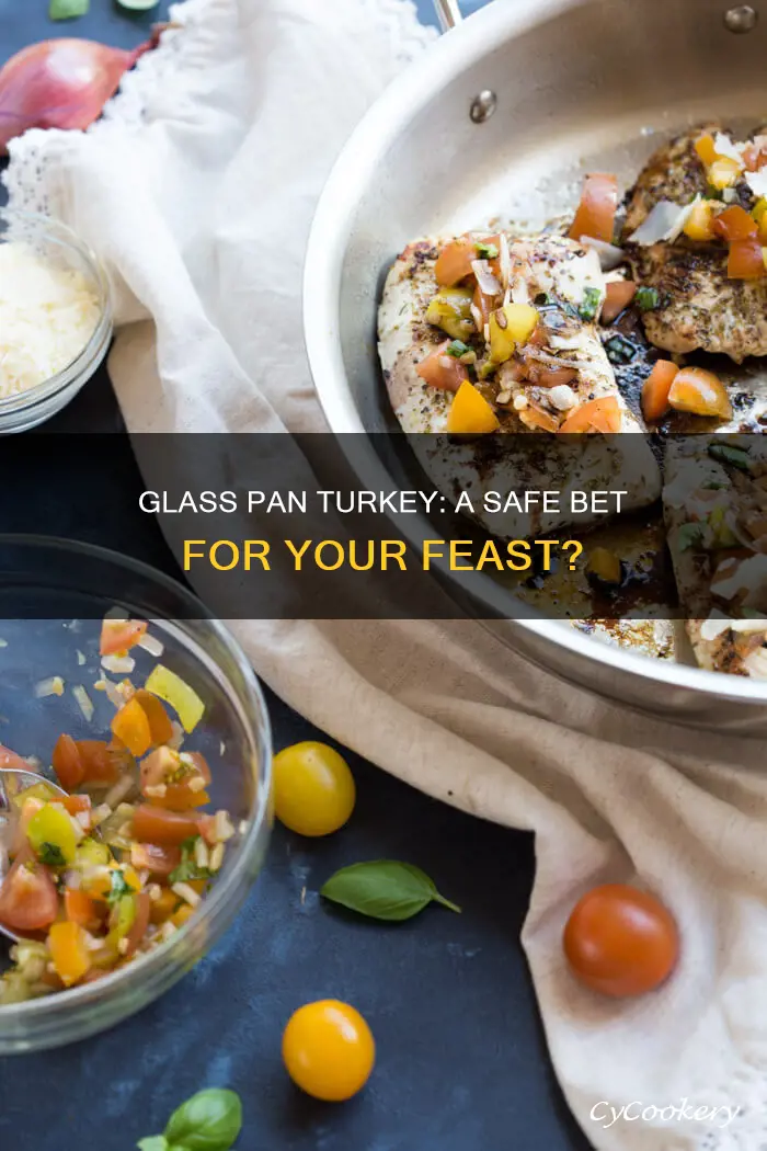 can you cook a turkey breast in a glass pan