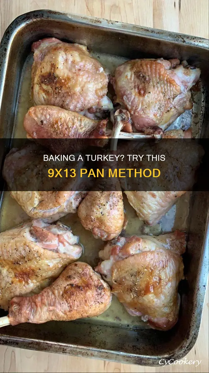 can you cook a turkey in a 9x13 baking pan