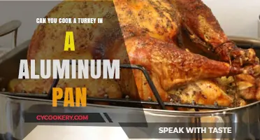 Roasting Turkey: Aluminum Pan, Good or Bad?