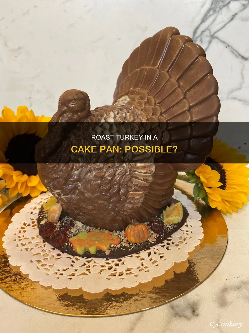 can you cook a turkey in a cake pan