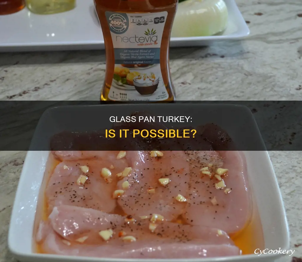 can you cook a turkey in a glass pan