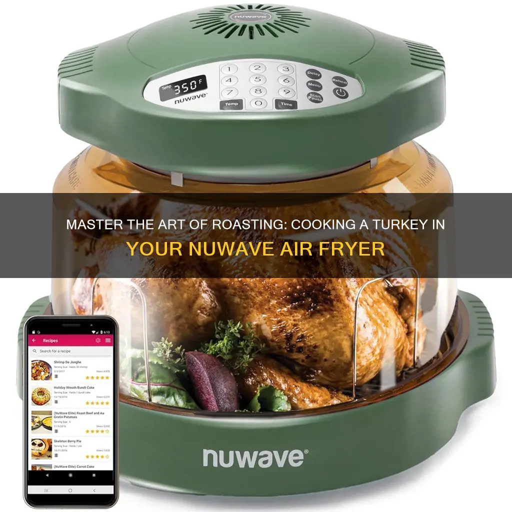 can you cook a turkey in a nuwave air fryer