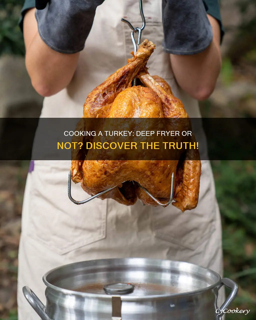 can you cook a turkey in a regular deep fryer