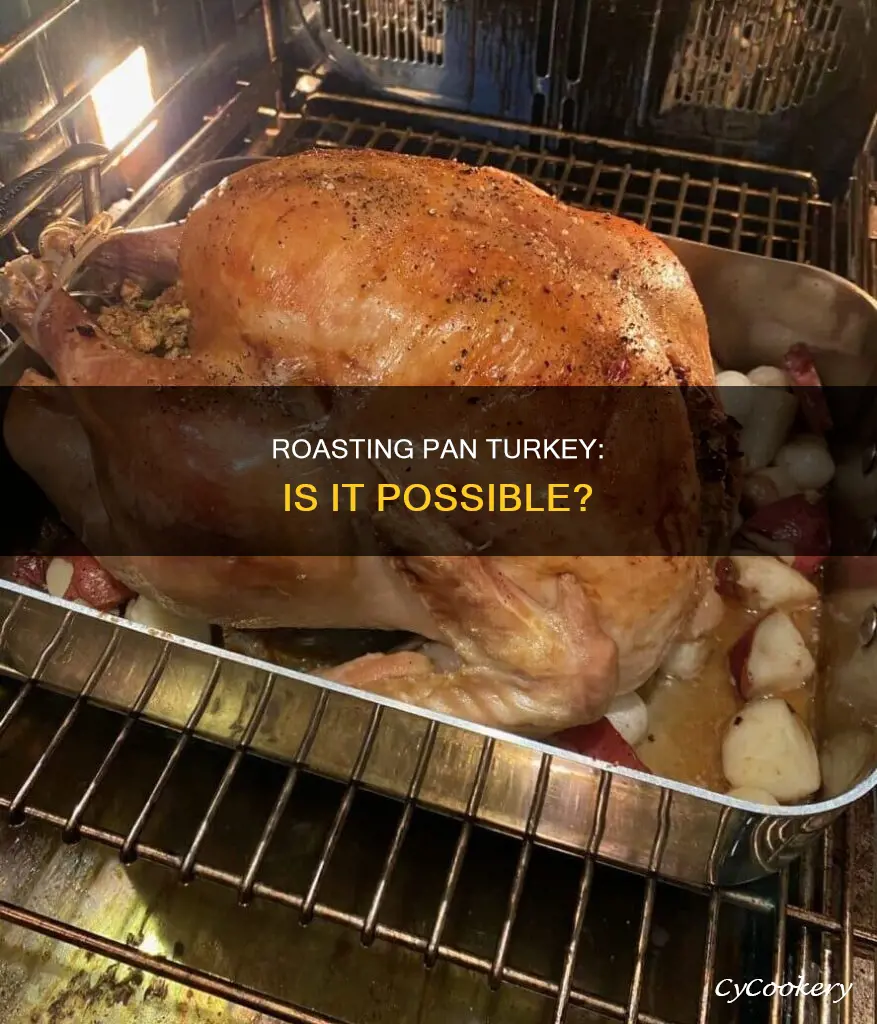 can you cook a turkey in a roasting pan